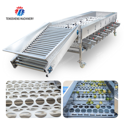 Processing Production Inspecting Grading Fruit Vegetable Onions Saiko persimmon Apple Potato tangerine passion fruit avocado cherry Mango pear banana mangosteen kiwi fruit Fruit Sorting Machine