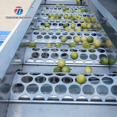 Processing Production Inspecting Grading Fruit Vegetable Onions Saiko persimmon Apple Potato tangerine passion fruit avocado cherry Mango pear banana mangosteen kiwi fruit Fruit Sorting Machine