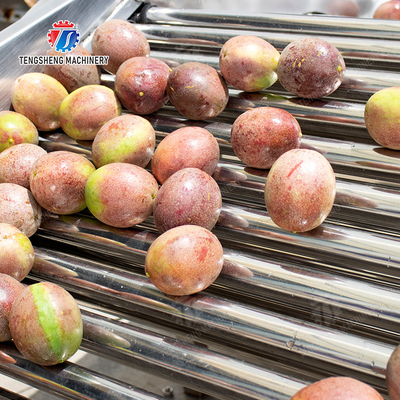 Processing Production Inspecting Grading Fruit Vegetable Onions Saiko persimmon Apple Potato tangerine passion fruit avocado cherry Mango pear banana mangosteen kiwi fruit Fruit Sorting Machine