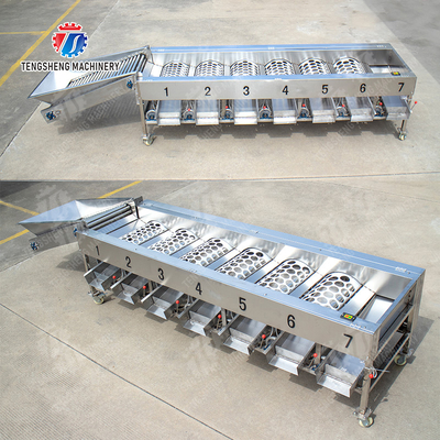 Processing Production Inspecting Grading Fruit Vegetable Onions Saiko persimmon Apple Potato tangerine passion fruit avocado cherry Mango pear banana mangosteen kiwi fruit Fruit Sorting Machine