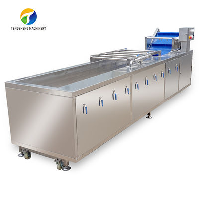 380V Fruit And Vegetable Processing Line Fully Automatic Cleaning Drying Grading