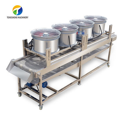 Silvery Personalization Passion Fruit And Vegetable Processing Line Fruit Cleansing Drying