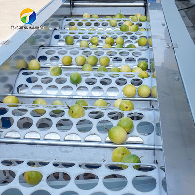 380V Fruit And Vegetable Processing Line Fully Automatic Cleaning Drying Grading