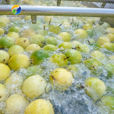 Silvery Personalization Passion Fruit And Vegetable Processing Line Fruit Cleansing Drying