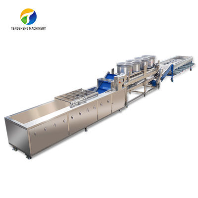 Passion Fruit Bubble Cleaning And Drying Sorting Production Line