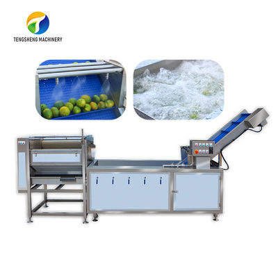 Citrus Stalk Eliminated Lemon Processing Machinery Industrial Air Bubble Brush