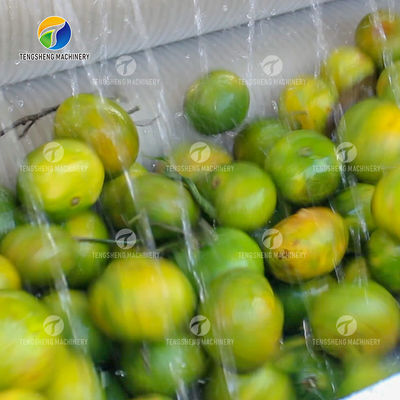 Citrus Stalk Eliminated Lemon Processing Machinery Industrial Air Bubble Brush