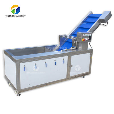 Citrus Stalk Eliminated Lemon Processing Machinery Industrial Air Bubble Brush