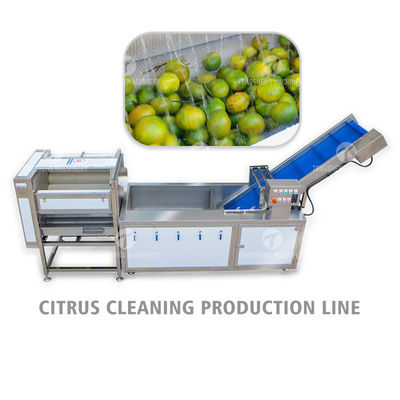 Air Brush Cleansing Citrus Processing Line ,  Anti Abrasion Sullage Removal Potato Processing Line