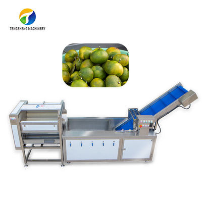 Dust Scrub Sortment Fruit Production Line Bubble Controlling Pineapple Vegetable Cleaning