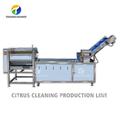 Dust Scrub Sortment Fruit Production Line Bubble Controlling Pineapple Vegetable Cleaning