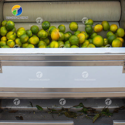 Air Brush Cleansing Citrus Processing Line ,  Anti Abrasion Sullage Removal Potato Processing Line