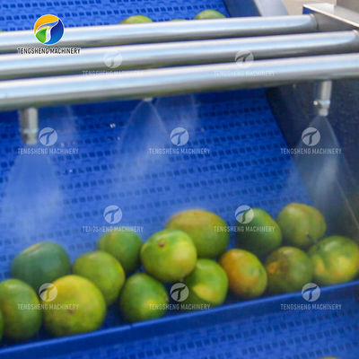 Dust Scrub Sortment Fruit Production Line Bubble Controlling Pineapple Vegetable Cleaning
