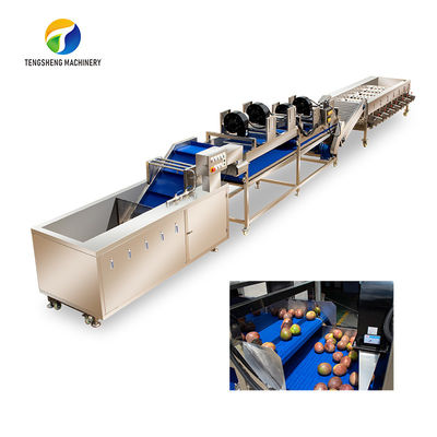 Tengsheng High Voltage Spraying Fruit And Vegetable Processing Line Industrial residual degradation
