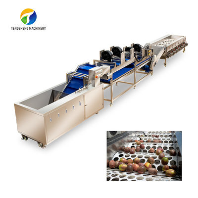 Drying Sorting Circulating Surfing Fruit And Vegetable Processing Line Apple Tengsheng