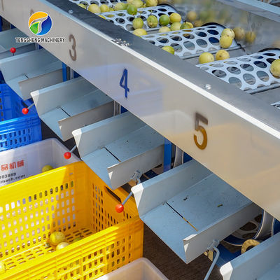 Tengsheng High Voltage Spraying Fruit And Vegetable Processing Line Industrial residual degradation