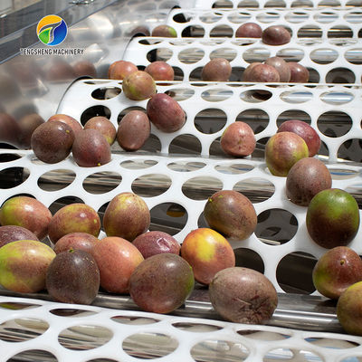 Drying Sorting Circulating Surfing Fruit And Vegetable Processing Line Apple Tengsheng