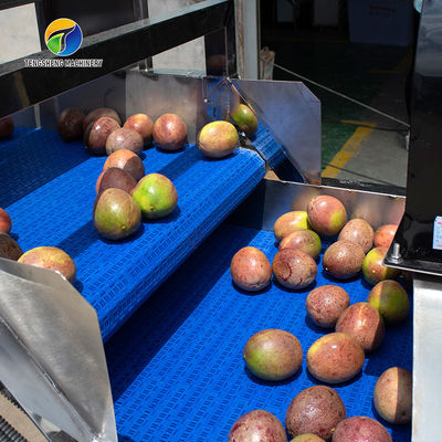 Tengsheng High Voltage Spraying Fruit And Vegetable Processing Line Industrial residual degradation