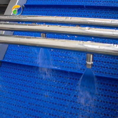 Tengsheng High Voltage Spraying Fruit And Vegetable Processing Line Industrial residual degradation