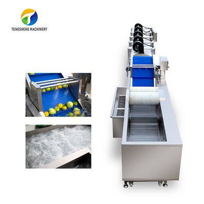 Customization Ozone Sterilization Fruit And Vegetable Processing Line Dry Detoxification