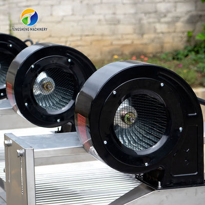 Customization Ozone Sterilization Fruit And Vegetable Processing Line Dry Detoxification
