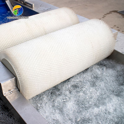Customization Ozone Sterilization Fruit And Vegetable Processing Line Dry Detoxification