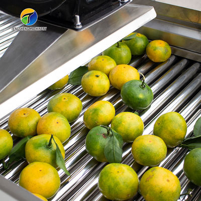 Customized Driven Pesticide Exclude Vegetable Processing Line , Centrifuging Tomato Processing Line