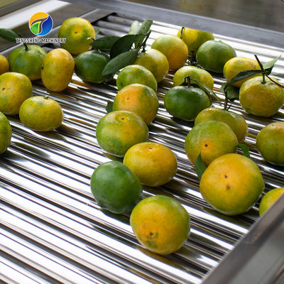 Customization Ozone Sterilization Fruit And Vegetable Processing Line Dry Detoxification