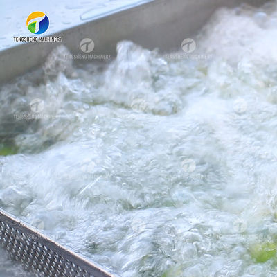 Citrus Stalk Eliminated Lemon Processing Machinery Industrial Air Bubble Brush