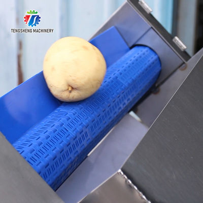 Commercial 2.6KW Fruit And Vegetable Processing Line Bubble Cleaning Juicing Machine