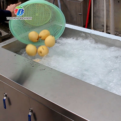 Commercial 2.6KW Fruit And Vegetable Processing Line Bubble Cleaning Juicing Machine