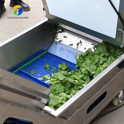Stainless Steel Fruit And Vegetable Processing Line Brush Cleaning And Hoisting