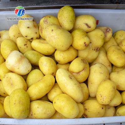 Stainless Steel Fruit And Vegetable Processing Line Brush Cleaning And Hoisting