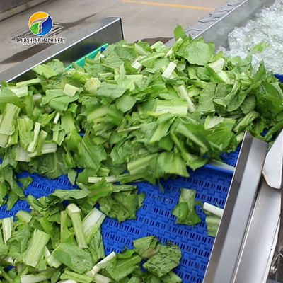 1.5 Tons / Hour Fruit And Vegetable Processing Line Root Brush Washing