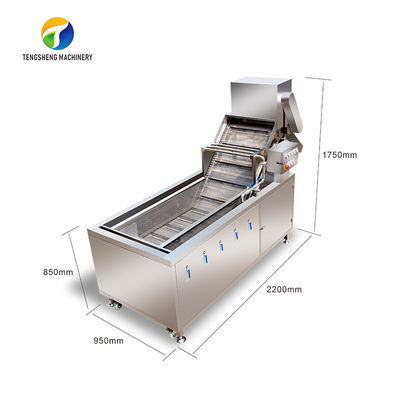 4.5KW Fruit And Vegetable Processing Line Vibration Draining Equipment