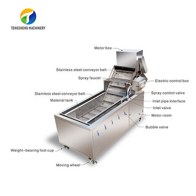 1000KG/H Fruit And Vegetable Processing Line Bubble Washing And Vibrating Drying