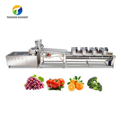4.5KW Fruit And Vegetable Processing Line Vibration Draining Equipment