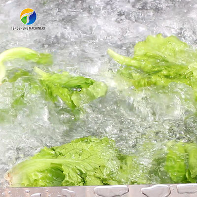 1000KG/H Fruit And Vegetable Processing Line Bubble Washing And Vibrating Drying