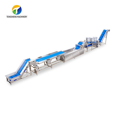 1500KG/H Orange Selection Fruit And Vegetable Processing Line