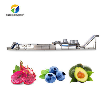 1500KG/H Orange Selection Fruit And Vegetable Processing Line