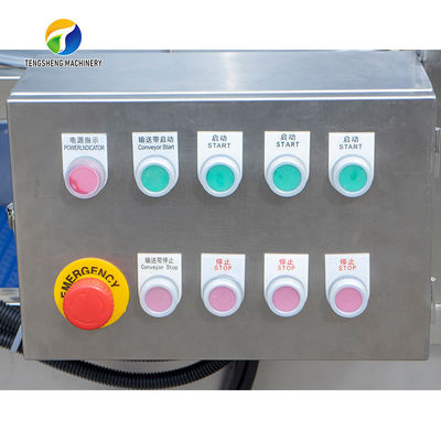 1500KG/H Orange Selection Fruit And Vegetable Processing Line