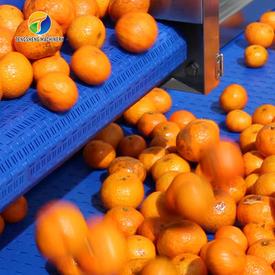 Multifunctional Fruit Sorting Machine Vegetable Washing Drying Production Line