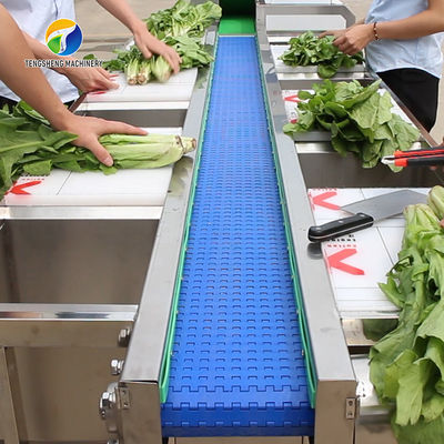 Multifunctional Fruit Sorting Machine Vegetable Washing Drying Production Line