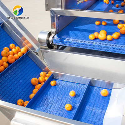 Passion Fruit Bubble Cleaning And Drying Sorting Production Line