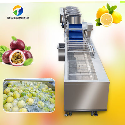 Passion Fruit Bubble Cleaning And Drying Sorting Production Line