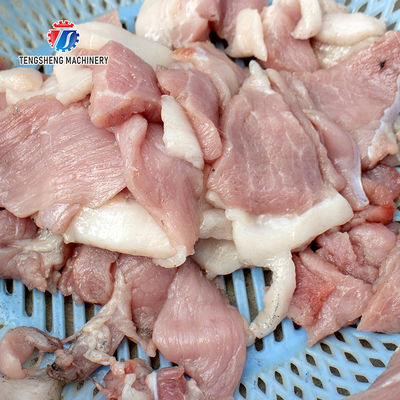 75KG Multifunctional vertical commercial stainless steel meat slicer Electric meat slicer
