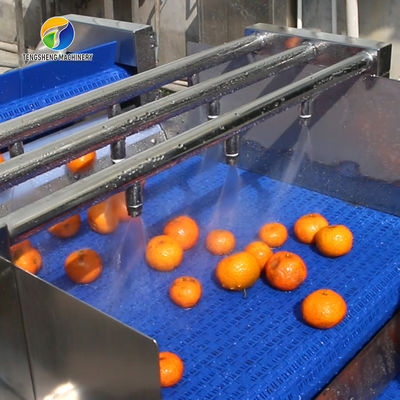 Automatic Fruit And Vegetable Processing Line Selection Washing Drying
