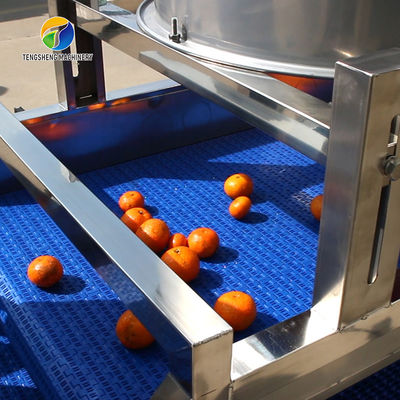 1500KG/H Fruit And Vegetable Processing Line cleaning Sorting Machine