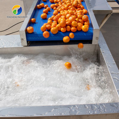 1500KG/H Fruit And Vegetable Processing Line cleaning Sorting Machine