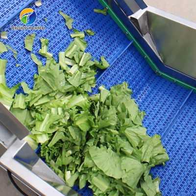 Automatic Fruit And Vegetable Processing Line Selection Washing Drying